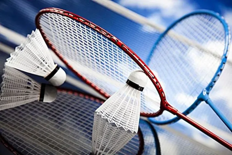 Hướng Dẫn Cách Chơi Cá Cược Cầu Lông Tại Tydo88 Thắng Lớn