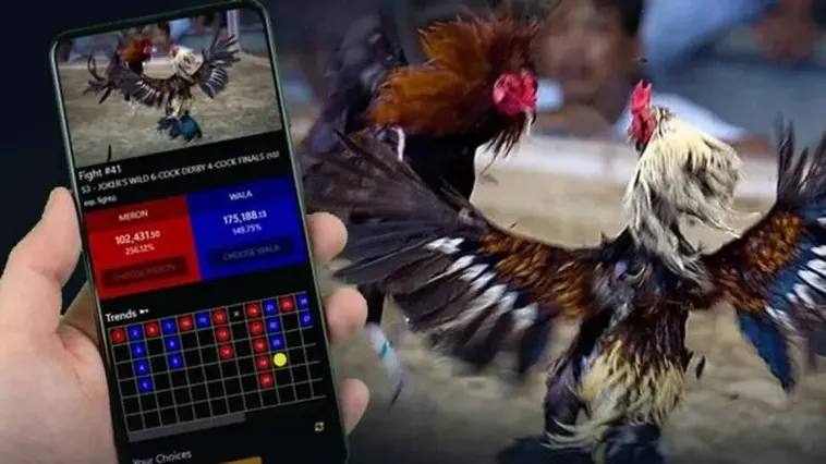 Đá Gà Tydo88 Sân Chơi Kịch Tính Đỉnh Cao Dành Cho Kê Thủ