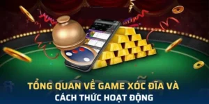 Tham Gia Chơi Xóc Đĩa Tydo88 Trực Tuyến Để Nhận Tiền Thưởng Ngay